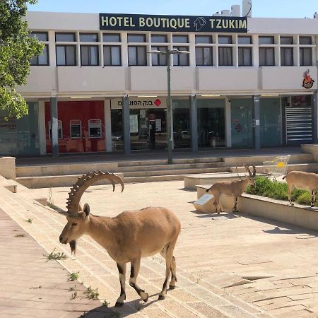 Tzukim Desert Traveler'S Hotel - מלון צוקים Mitzpe Ramon Exterior foto