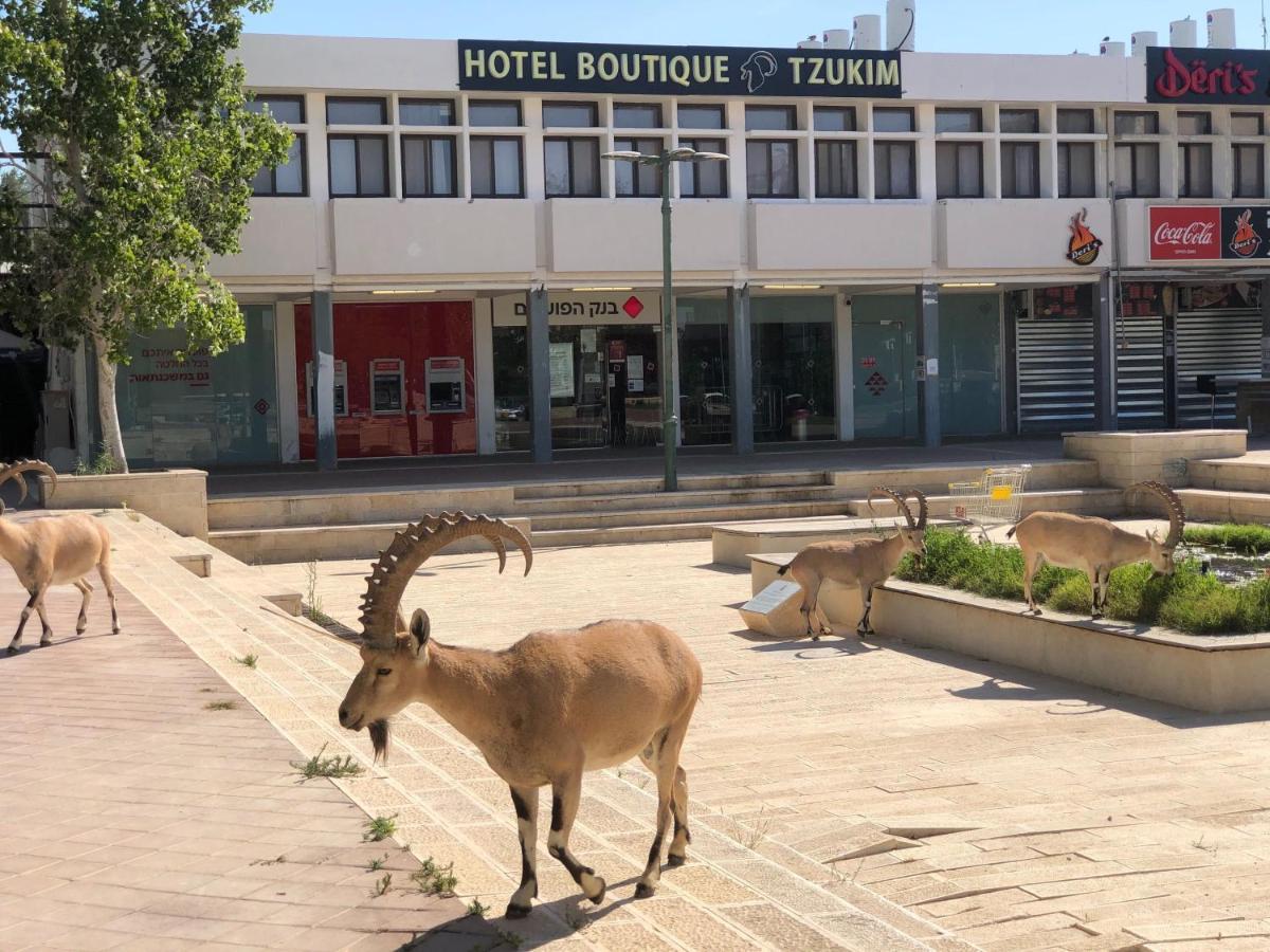 Tzukim Desert Traveler'S Hotel - מלון צוקים Mitzpe Ramon Exterior foto